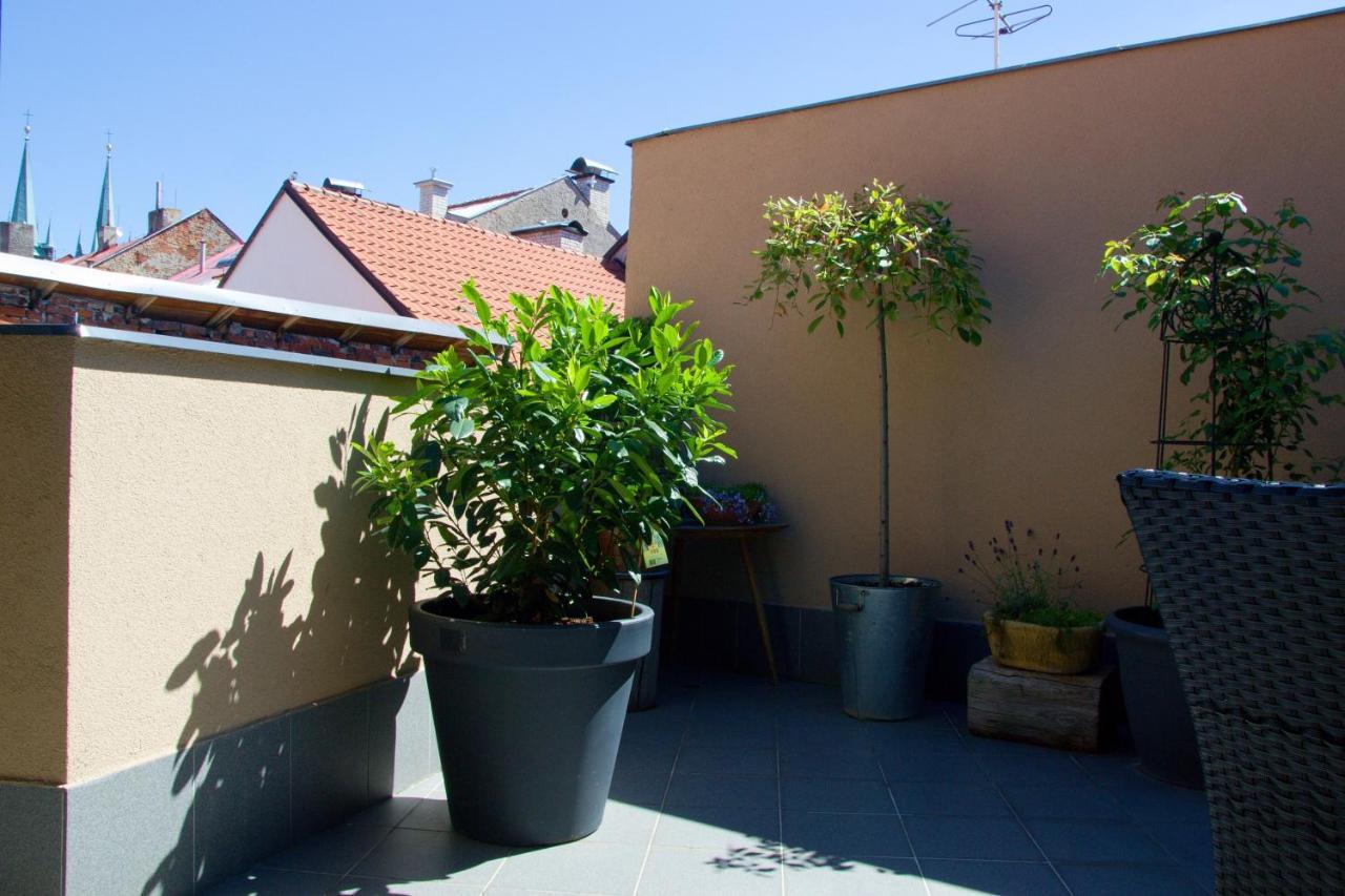 U Paluku Apartment Chrudim Bagian luar foto